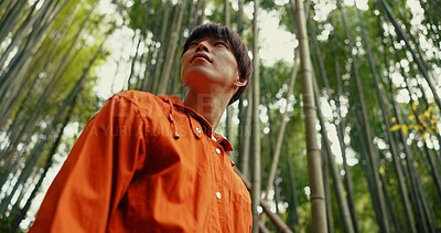 Japanese man, bamboo trees and nature on walk, adventure and hiking with thinking, ideas and journey. Person, outdoor or trekking for peace, mindfulness or woods at Fushimi Inari on vacation in Kyoto