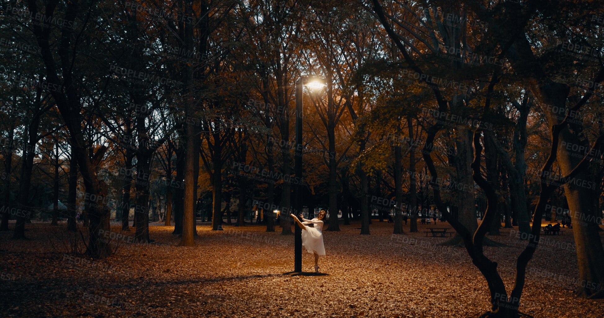 Buy stock photo Woman, dance and night in outdoor dark at street light for performance, practice or creative artist. Female person, ballerina and dress on pointe in Japanese garden for talent, entertainment or skill