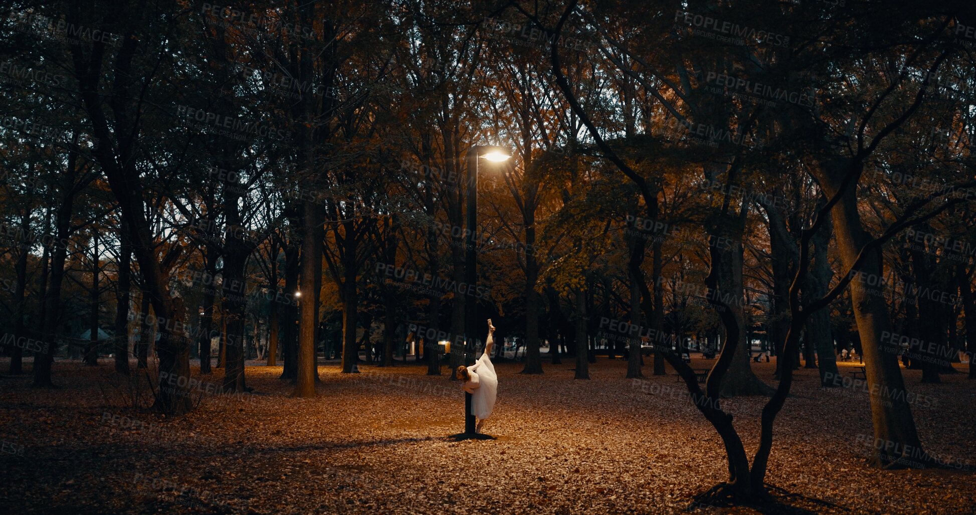 Buy stock photo Ballerina, dancing and night in outdoor dark at street light for performance, practice or creative artist. Female person, leg and dress on pointe in Japanese garden for talent, entertainment or skill