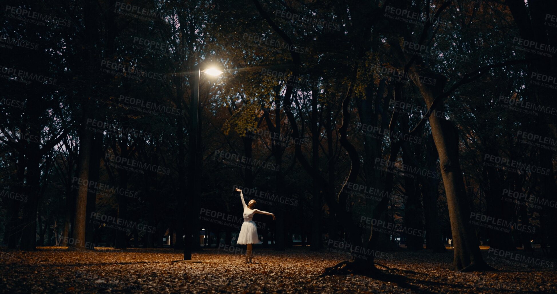 Buy stock photo Ballet, dance and woman outdoor at night in Japan with street light, trees and creative art. Ballerina, performance and talent in dark Kyoto forest, woods or garden with spotlight in nature or park