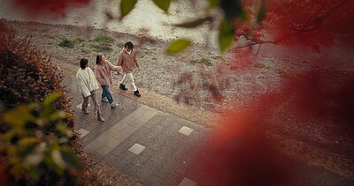 People, walking or talking in city in above by autumn leaves or happiness for bonding in nature. Friends, discussion or together in steps on sidewalk, red maple tree or care in tokyo town for travel