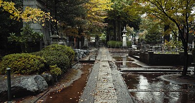 Japan graveyard, nature and culture by tombstone in landscape environment, autumn leaves and plants. Wet, cemetry and stone for asian cemetery in urban kyoto and wet with indigenous shinto religion