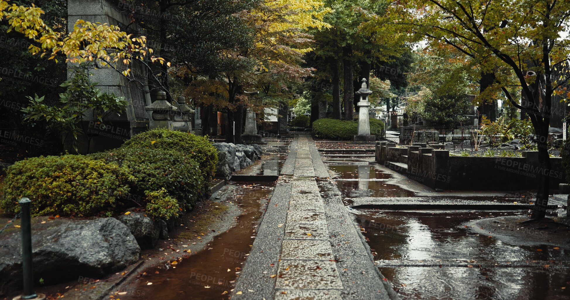 Buy stock photo Japan graveyard, nature and culture by tombstone in landscape environment, autumn leaves and plants. Wet, cemetry and stone for asian cemetery in urban kyoto and wet with indigenous shinto religion