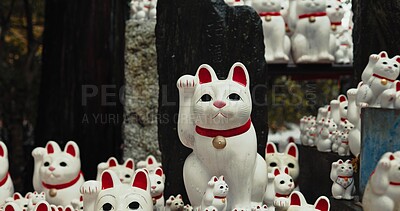 Lucky cat, figure and Shinto shrine in nature, trees and forest with wish, faith or trees in environment. Animal, toys and temple for religion, worship or Buddhism with icon, symbol or wave in Japan