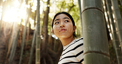 Buy stock photo Nature, bamboo and Japanese woman in forest for adventure on holiday, vacation and morning in woods. Travel, low angle and person thinking with natural plants to explore, walking and freedom in Kyoto