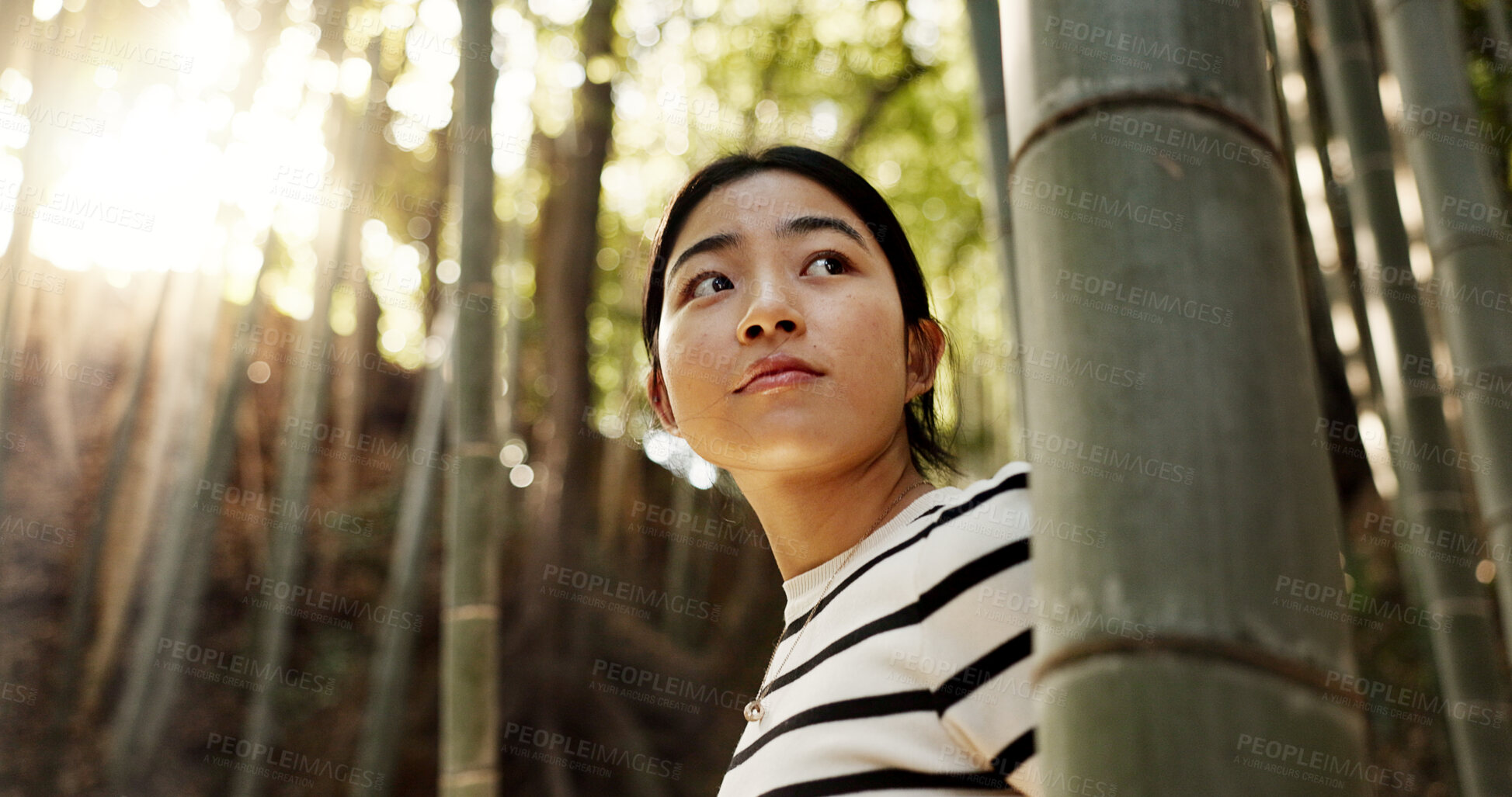 Buy stock photo Nature, bamboo and Japanese woman in forest for adventure on holiday, vacation and morning in woods. Travel, low angle and person thinking with natural plants to explore, walking and freedom in Kyoto