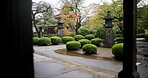 Japan graveyard, trees and outdoor by shrine in landscape environment, autumn leaves and rain. Urban, countryside or tomb for asian culture in  kyoto town or cemetery for indigenous shinto religion