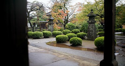 Buy stock photo Japan graveyard, trees and outdoor by shrine in landscape environment, autumn leaves and rain. Urban, countryside or tomb for asian culture in  kyoto town or cemetery for indigenous shinto religion