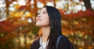 Buy stock photo Woman, forest and enjoy in Kyoto, garden and tourist with happiness, traditional history and travel. Nature, japanese culture and explore in woods with trees, adventure and holiday walk in autumn