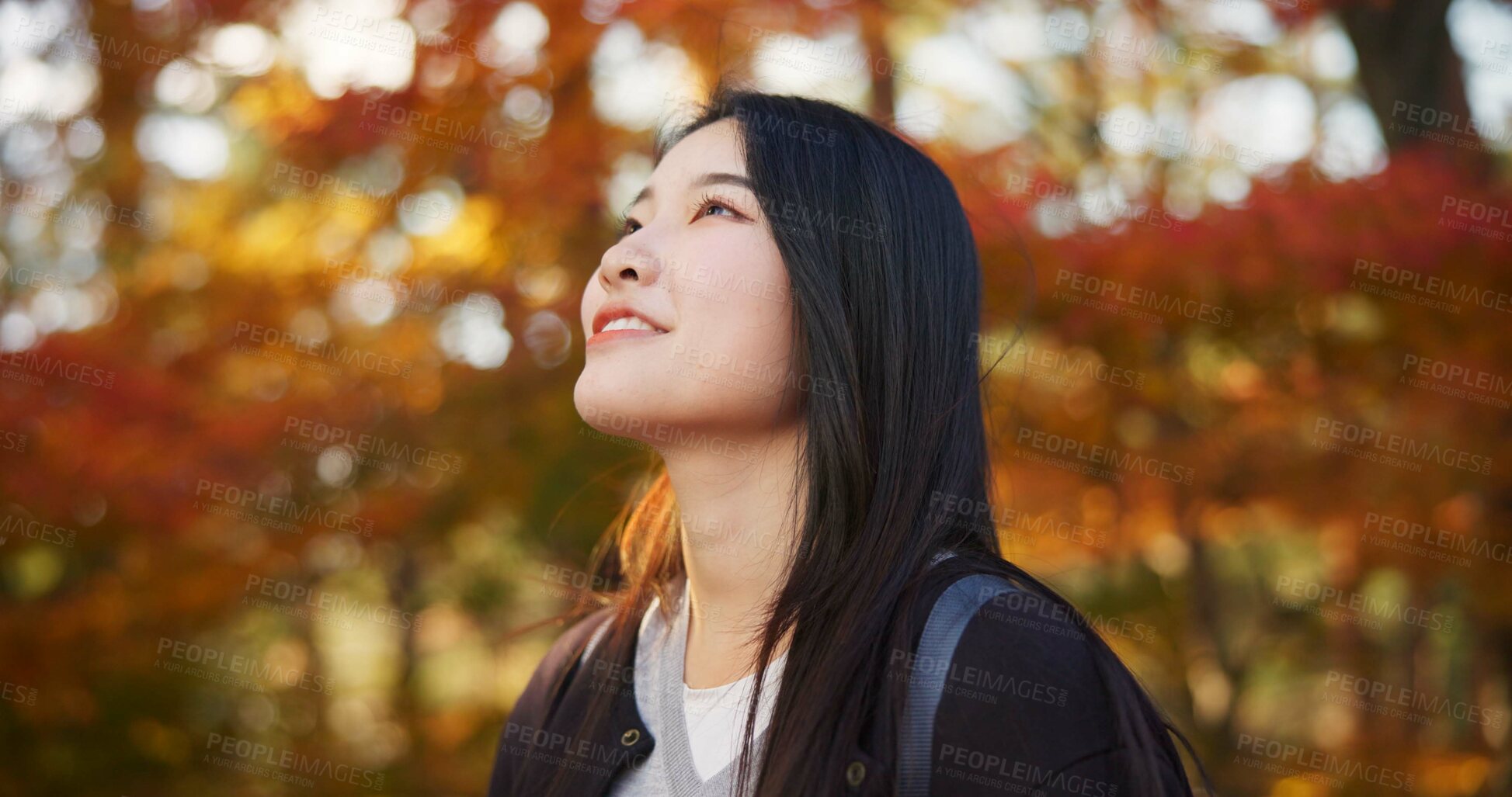 Buy stock photo Woman, forest and enjoy in Kyoto, garden and tourist with happiness, traditional history and travel. Nature, japanese culture and explore in woods with trees, adventure and holiday walk in autumn