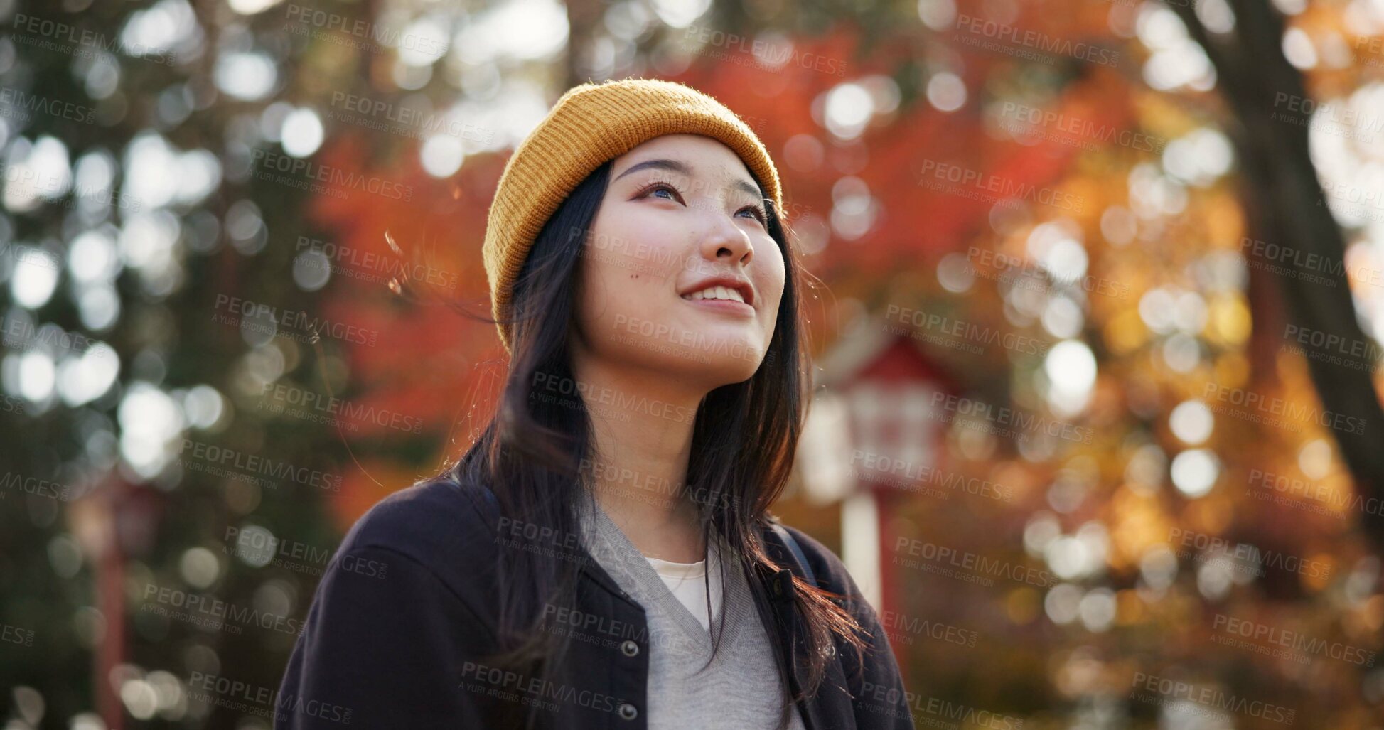 Buy stock photo Woman, forest and travel in Kyoto, garden and tourist with happiness, traditional history and sightseeing. Nature, japanese and explore in woods with trees, adventure and holiday walk in autumn