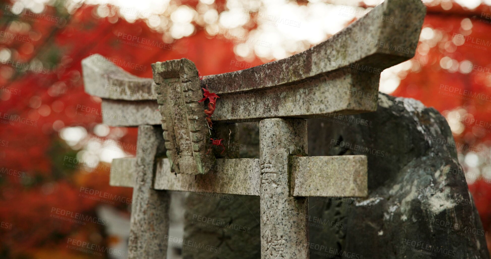 Buy stock photo Statue or shrine in forest with spiritual history, Japanese culture and vintage art in nature. Travel, landmark and stone nezu jinja sculpture in woods with stone monument, trees and worship to god