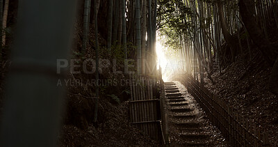 Buy stock photo Nature, staircase and bamboo trees in Japan of hiking trail, light or steps on outdoor path. View of natural scenery, sunshine or stairs with fence of zen or eco friendly environment outside in Tokyo