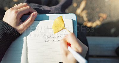 Person, hands and writing in book on park bench for reminder, agenda or memory in nature above. Top view and closeup of writer or journalist taking notes in diary or notebook with pen for planning