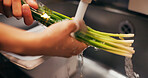 Chef hands, wash spring onion and sink for dirt, virus or bacteria for safety, cooking and meal prep. Person, closeup and cleaning vegetable in water, faucet or kitchen for catering at restaurant job