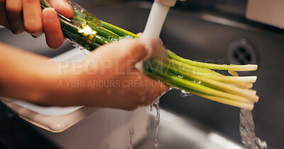 Buy stock photo Chef hands, wash spring onion and sink for dirt, virus or bacteria for safety, cooking and meal prep. Person, closeup and cleaning vegetable in water, faucet or kitchen for catering at restaurant job
