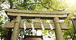 Torii gate, trees or nature in japan for worship, holy or prayer location for peace in forest. Asian architecture, culture and ancient symbol with religion, god and gateway of sacred to shinto shrine