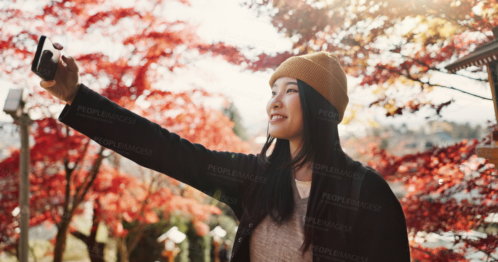 Buy stock photo Selfie, autumn and Japanese woman in forest for holiday, adventure and vacation in Japan. Happy in woods, tree leaves and girl with digital photography, social media and live stream on travel blog.