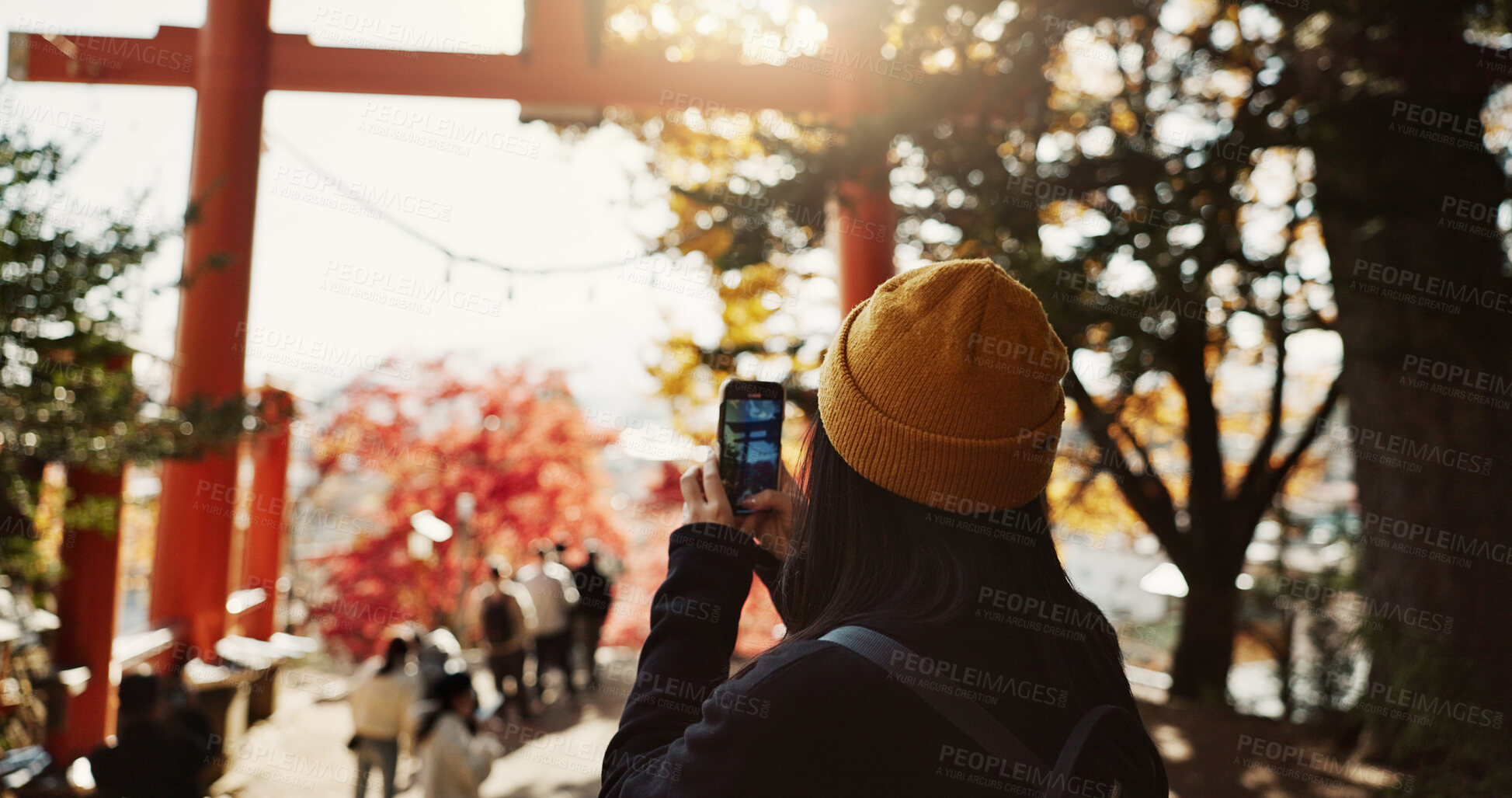 Buy stock photo Phone, photography and Japanese woman at shrine in forest for holiday adventure in Japan from back. Torri gate, autumn and photographer girl with smartphone for social media or memory for travel blog