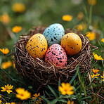 Background, eggs and color for holiday, vacation and easter season with color, chocolate and celebration. Nest, flowers and decoration in abstract for creative wallpaper, advertisement and art.