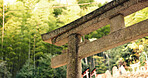 Nature, forest and stone Torii gate in Kyoto with peace, mindfulness and travel with spiritual history. Architecture, Japanese culture and Shinto shrine in woods with sculpture, memorial and monument