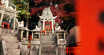 Stone Shinto shrine with Torii gate, statue and peace on travel with spiritual history in Kyoto. Architecture, Japanese culture and temple in forest with steps, sculpture and memorial in autumn trees