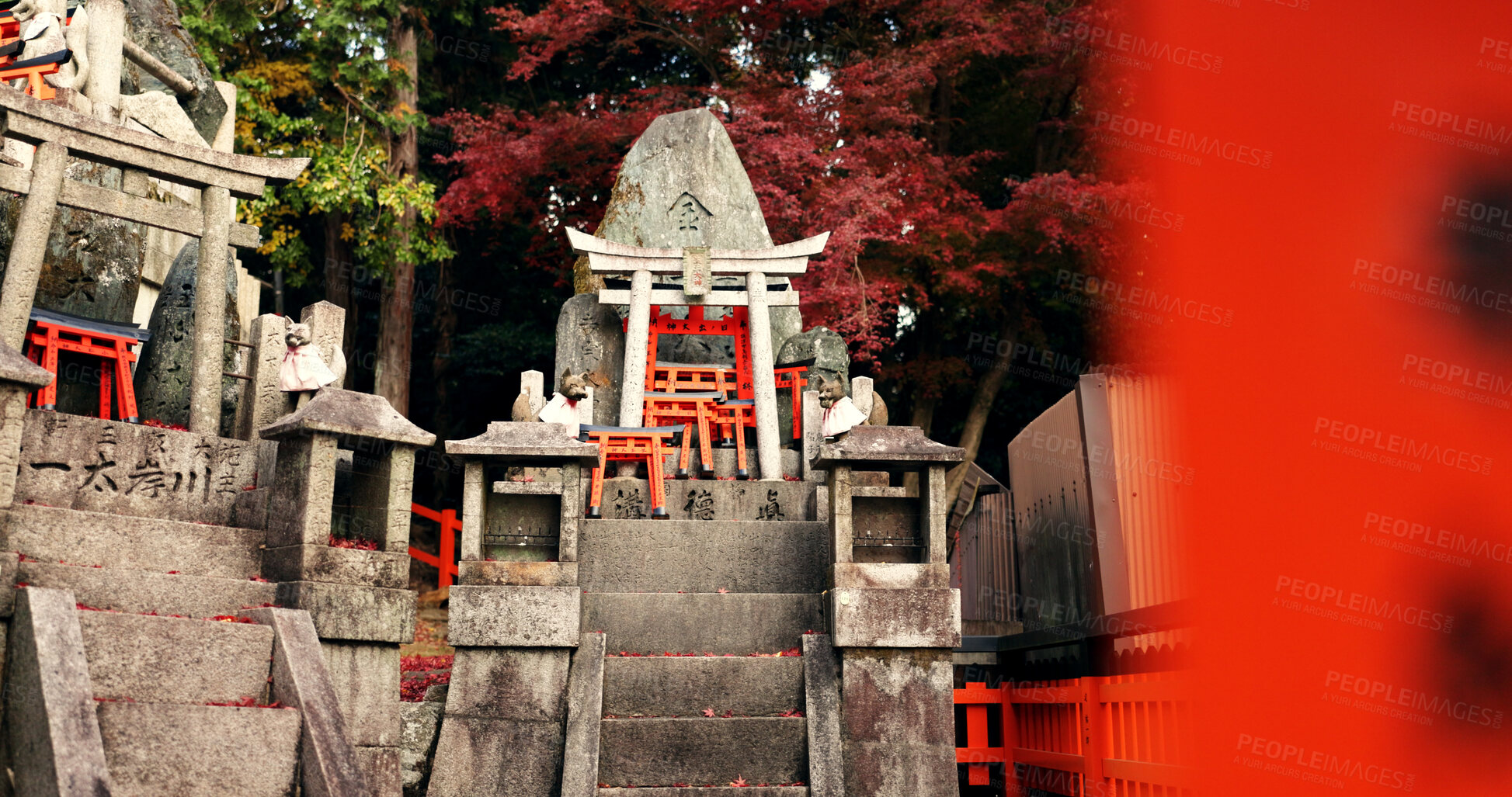 Buy stock photo Stone Shinto shrine with Torii gate, statue and peace on travel with spiritual history in Kyoto. Architecture, Japanese culture and temple in forest with steps, sculpture and memorial in autumn trees