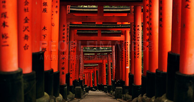 Japan, red torii gates and path in Fushimi inari-taisha for vacation, holiday or walkway for tourism. Pathway, Shinto religion and shrine in Kyoto for traditional architecture or spiritual culture