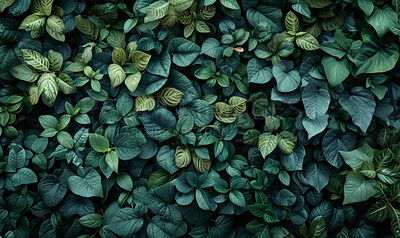 Leaves, environment and sustainability mockup of plant wall for background, wallpaper and design. Green beauty, lush and natural backdrop with copyspace for ecology, eco friendly or carbon footprint