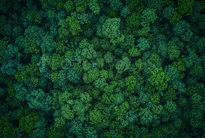 Drone view, environment or sustainability mockup of forrest for background, wallpaper and design. Green beauty, lush and natural backdrop with copyspace for ecology, eco friendly or carbon footprint