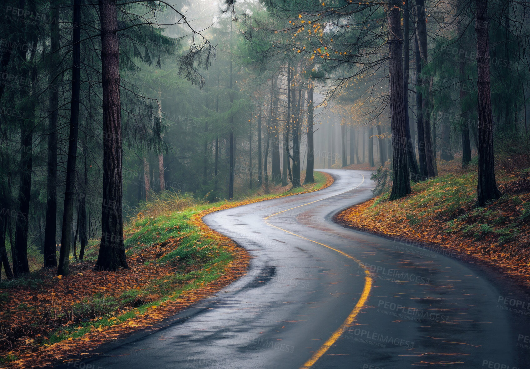 Buy stock photo Highway, road and street view of a path through the forest for vacation, adventure and transportation. Clean, green and jungle landscape for environment, sustainability and ecology background