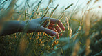 Hand, environment and sustainability mockup of person touching plant in field for background, wallpaper and design. Green beauty, lush and natural backdrop with copyspace for ecology and eco friendly