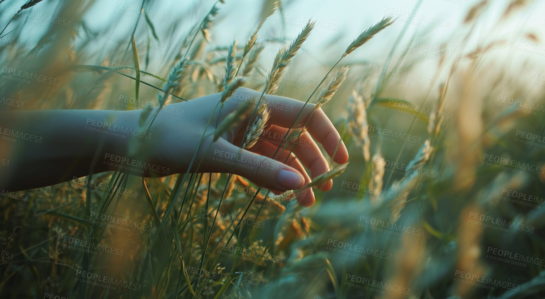 Buy stock photo Hand, environment and sustainability mockup of person touching plant in field for background, wallpaper and design. Green beauty, lush and natural backdrop with copyspace for ecology and eco friendly