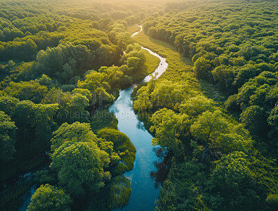 Drone view, environment or sustainability of forrest river for background, wallpaper and design. Green beauty, lush and natural backdrop with copyspace for ecology, eco friendly or carbon footprint