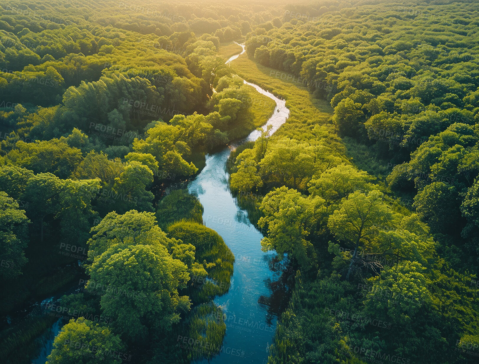Buy stock photo Drone view, environment or sustainability of forrest river for background, wallpaper and design. Green beauty, lush and natural backdrop with copyspace for ecology, eco friendly or carbon footprint