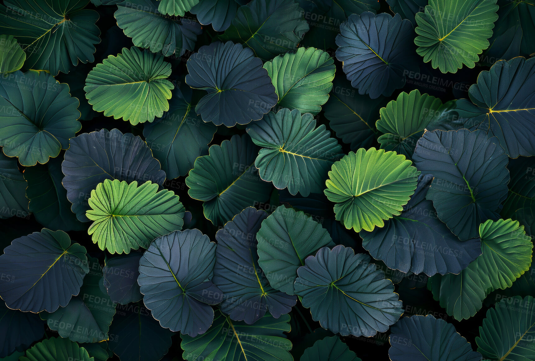 Buy stock photo Leaves, environment and sustainability mockup of plant wall for background, wallpaper and design. Green beauty, lush and natural backdrop with copyspace for ecology, eco friendly or carbon footprint