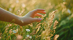 Hand, environment and sustainability mockup of person touching plant in field for background, wallpaper and design. Green beauty, lush and natural backdrop with copyspace for ecology and eco friendly