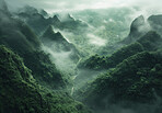 Highway, road and drone view of a path through the forest for vacation, adventure and transportation. Clean, green and jungle landscape for environment, sustainability and ecology background