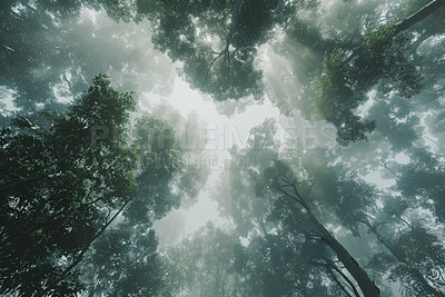 Worm view, environment and sustainability mockup of trees for background, wallpaper and design. Green beauty, lush and morning light with copyspace for ecology, eco friendly and carbon footprint