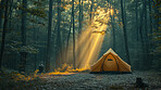 Sun rays, forest and camping with background for traveling, freedom or vacation. Healthy, activity and outdoors with abstract, trees or thinking for wellness, motivation or discovery, nature