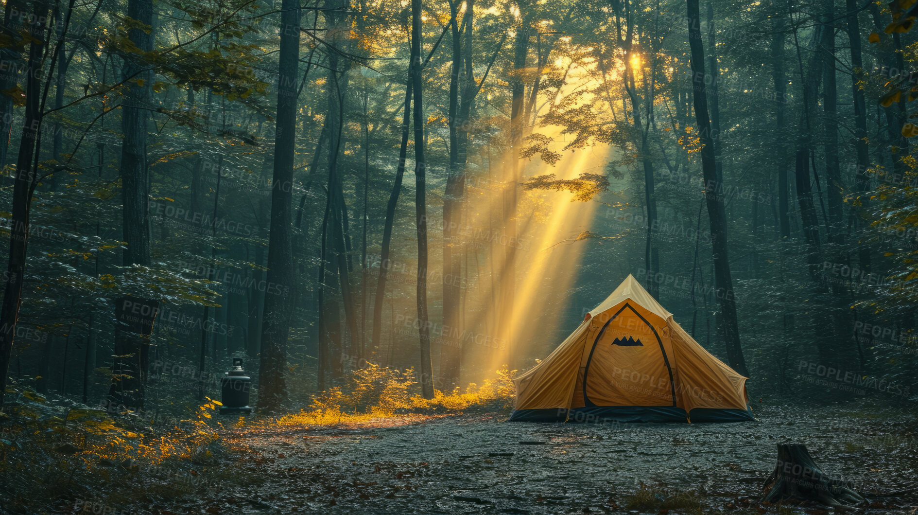 Buy stock photo Sun rays, forest and camping with background for traveling, freedom or vacation. Healthy, activity and outdoors with abstract, trees or thinking for wellness, motivation or discovery, nature