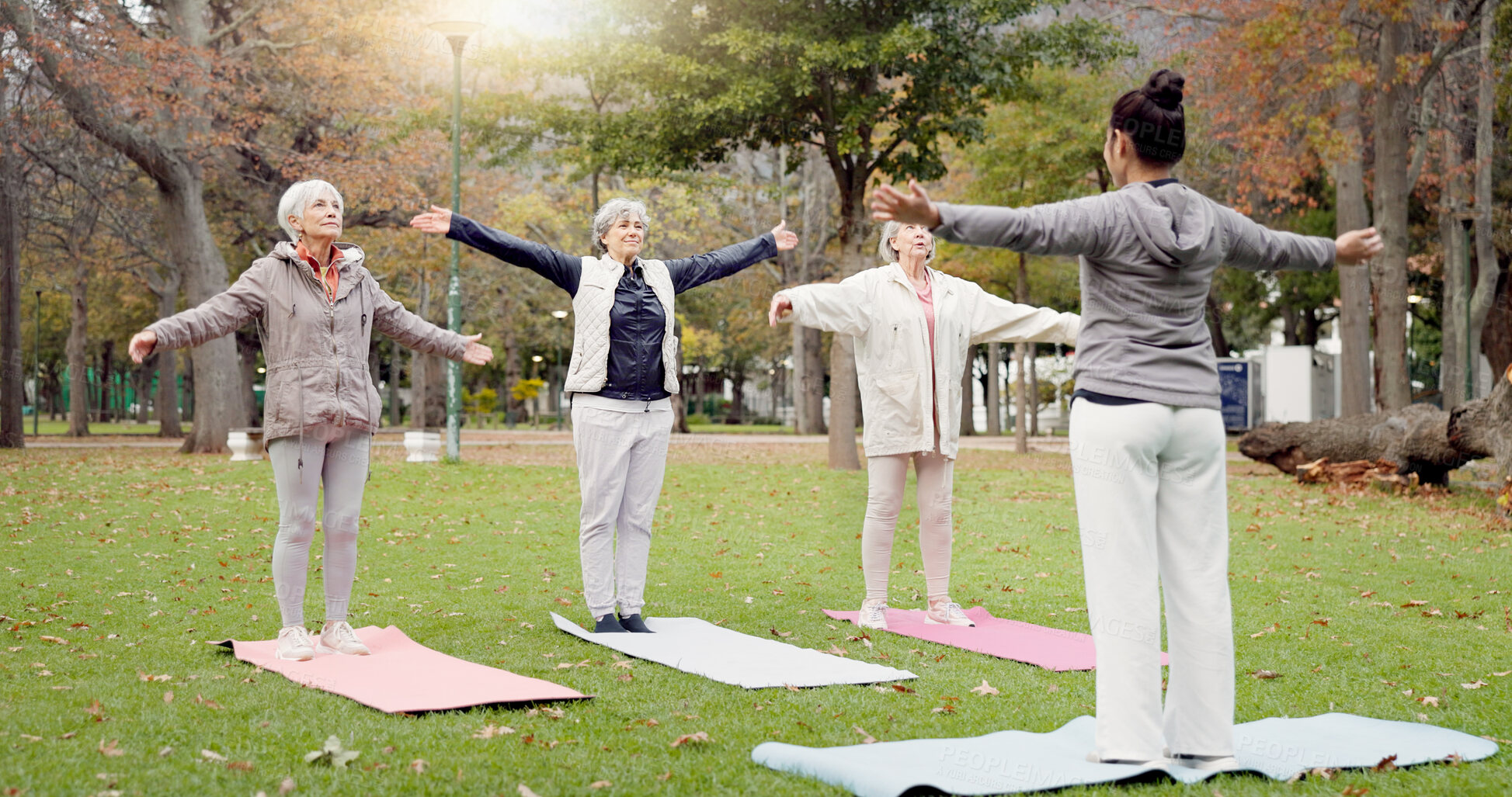 Buy stock photo Trainer, park and elderly women stretching, yoga and fitness for wellness, health and pilates training. Female people, senior club or group outdoor, meditation or workout with exercise or retirement