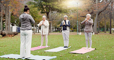 Trainer, park and elderly women stretching, yoga and fitness for wellness, health and pilates training. Female people, senior club or group outdoor, meditation or workout with exercise or retirement