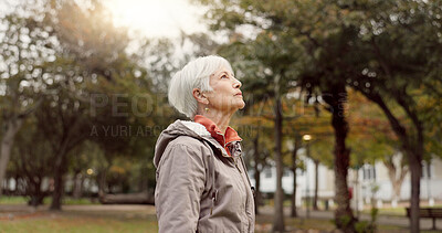 Freedom, nature and elderly woman breathing on vacation, holiday journey and winter travel. Park, fresh air and senior person outdoor for peace, calm and celebration for health, wellness and relax.