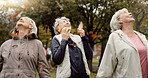 Senior women, friends and throw leaves for comic game, playing or happy together in park for celebration. Group, old people and retirement in nature for funny memory, autumn party or playful in woods