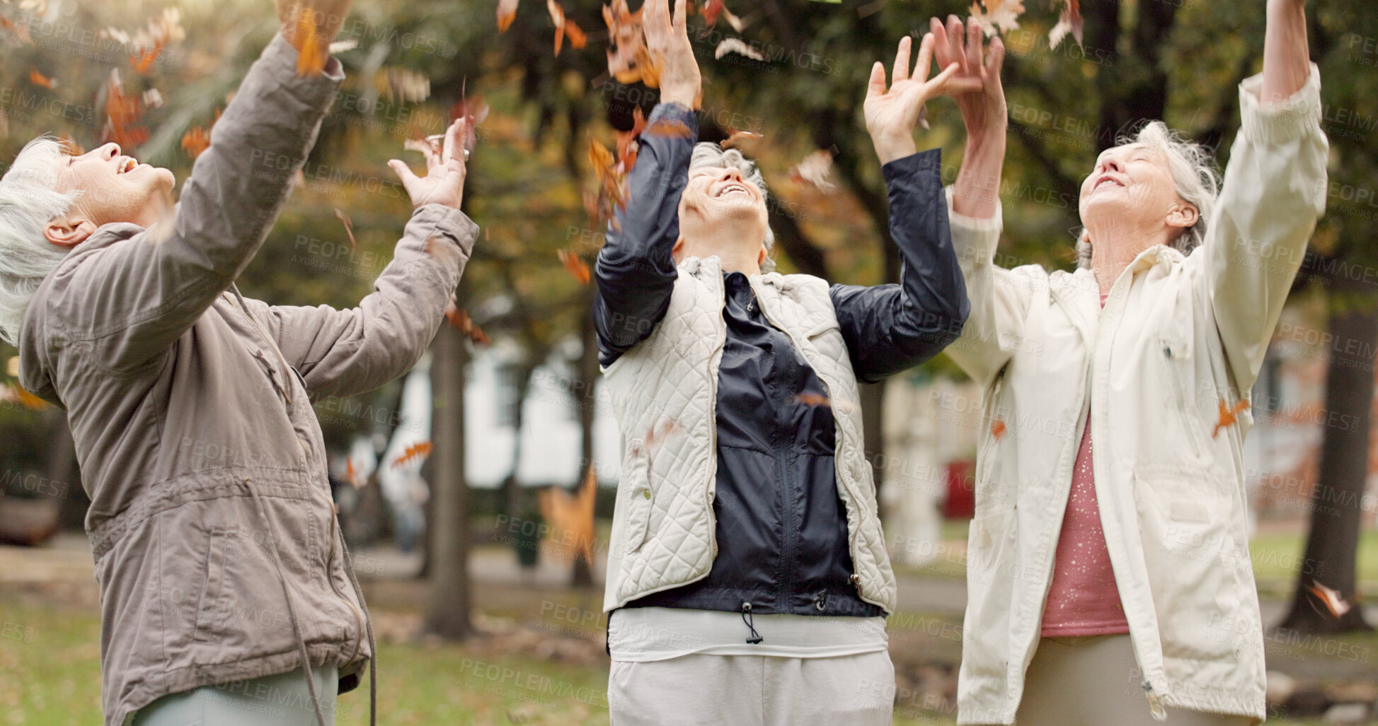 Buy stock photo Senior friends, park and leaves in autumn, old people on walk in forest for health and outdoor freedom. Happiness, friendship in retirement and group of elderly women in nature, fresh air and bonding