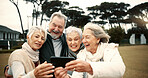 Senior people, happy or friends take a selfie in park together for a memory with smile or joy outdoors. Group, old man or elderly women taking photo or picture in nature for social media for vlogging