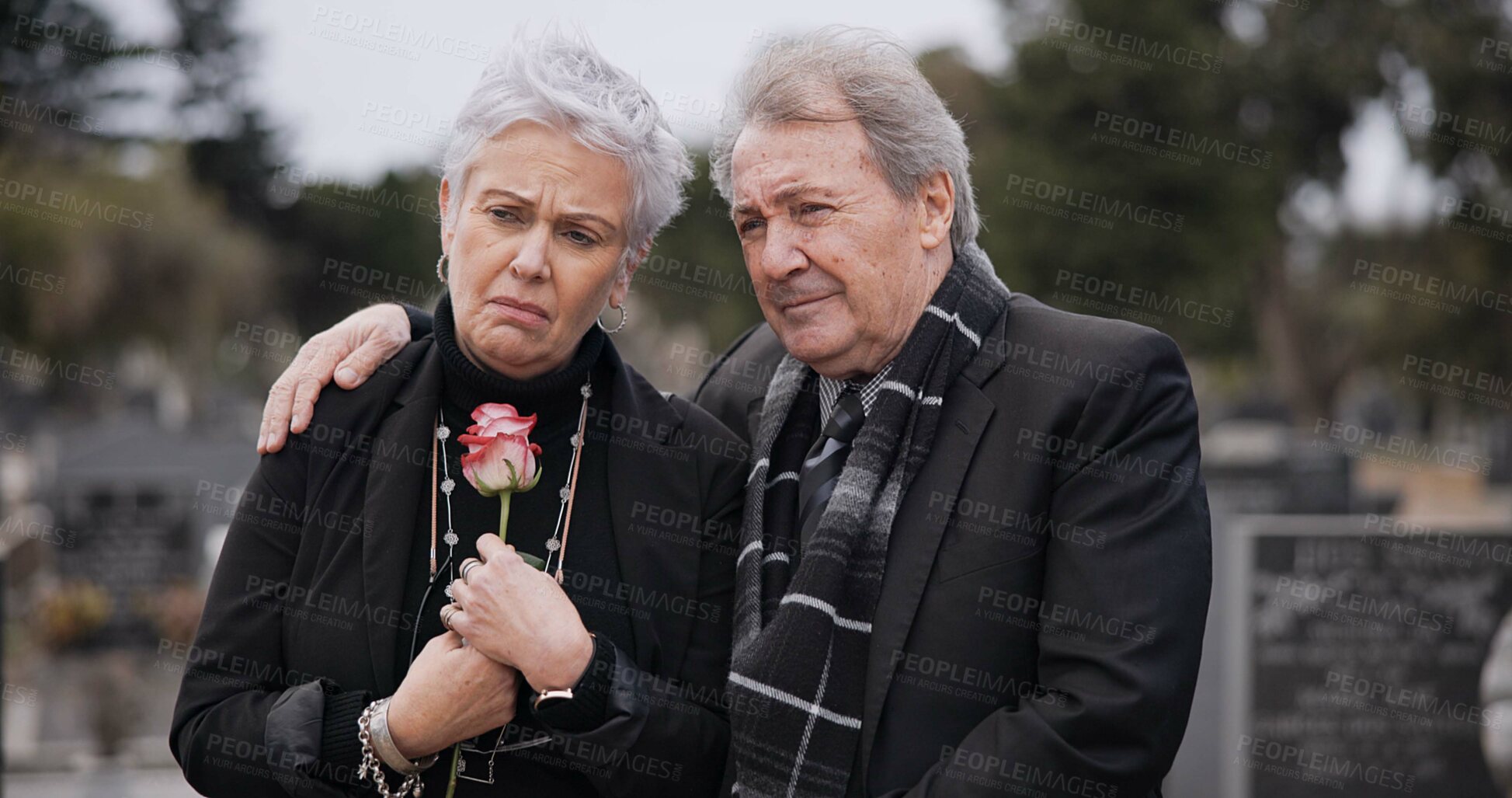 Buy stock photo Funeral, graveyard and sad senior couple hug for comfort, empathy and support at memorial service. Depression, grief and man and woman embrace with flower for goodbye, mourning and burial for death