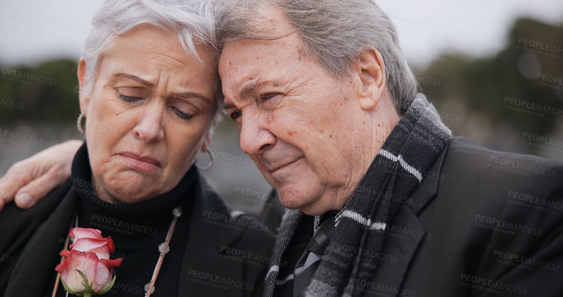 Buy stock photo Funeral, graveyard and senior couple hug for comfort, empathy and support at memorial service. Depression, grief and sad man and woman embrace with flower for goodbye, mourning and burial for death