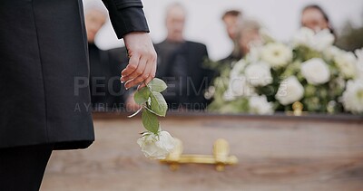 Death, funeral and hand of man with flower at coffin, family at service in graveyard for respect. Roses, loss and people at wood casket in cemetery with memory, grief and sadness at grave for burial.